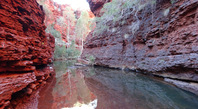 access the wellspring of nature